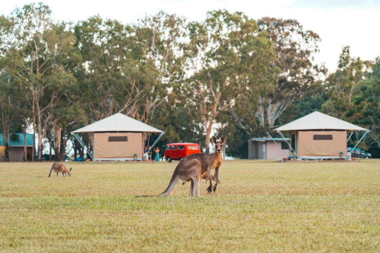 Отель Habitat Noosa Cootharaba Экстерьер фото