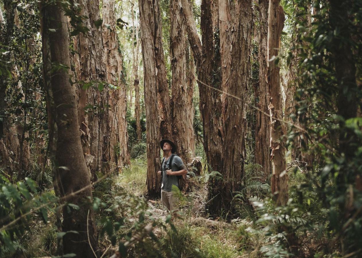 Отель Habitat Noosa Cootharaba Экстерьер фото